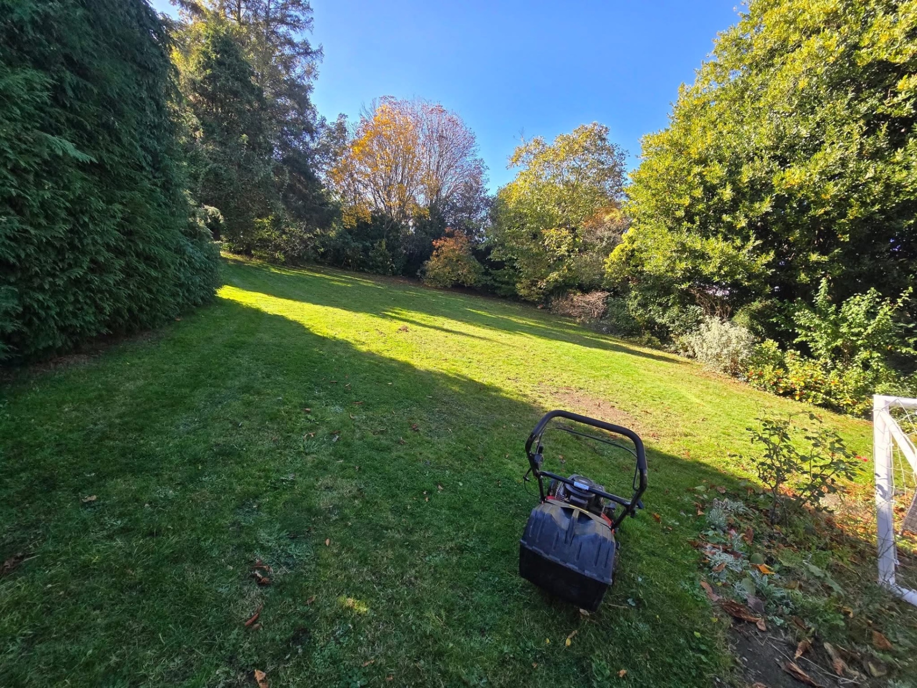 Large estate lawn maintained with a ride-on mower